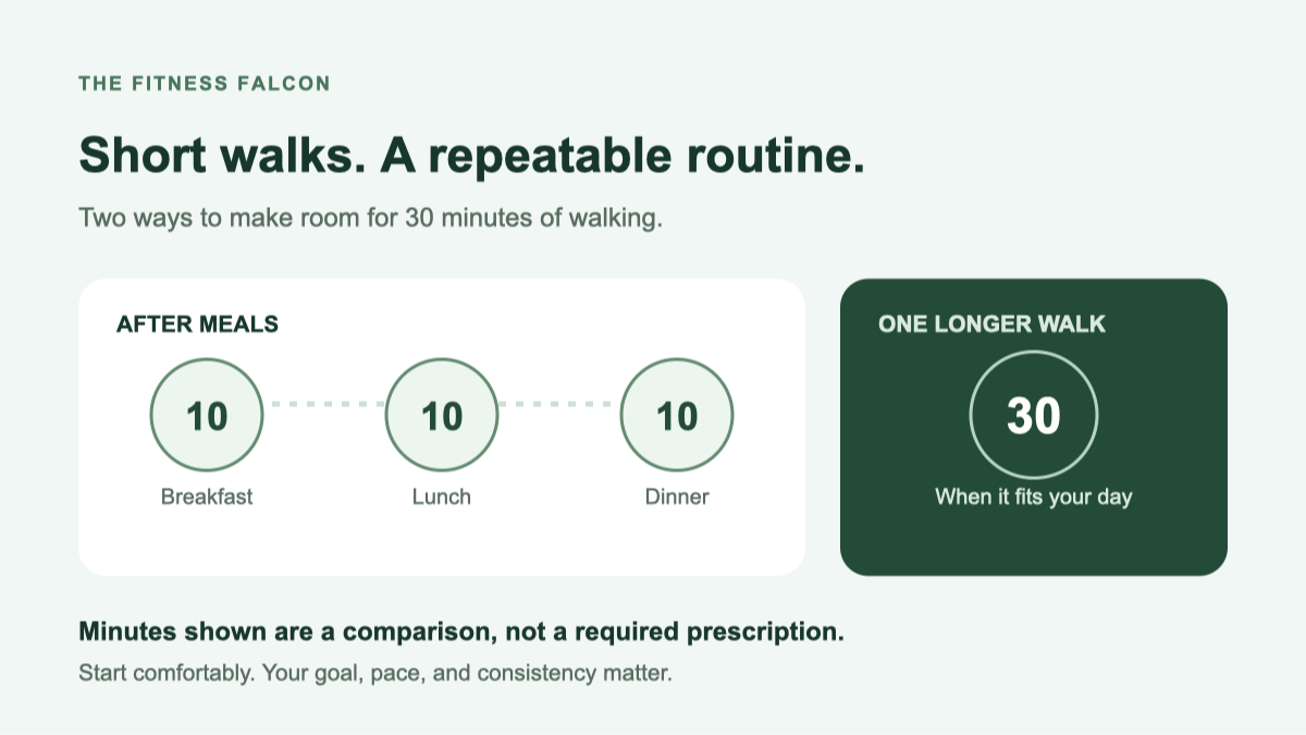 Diagram comparing three 10-minute walks after meals with one 30-minute walking session