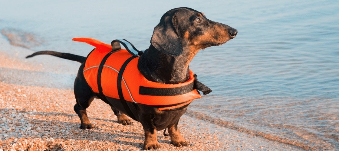 Life Jackets