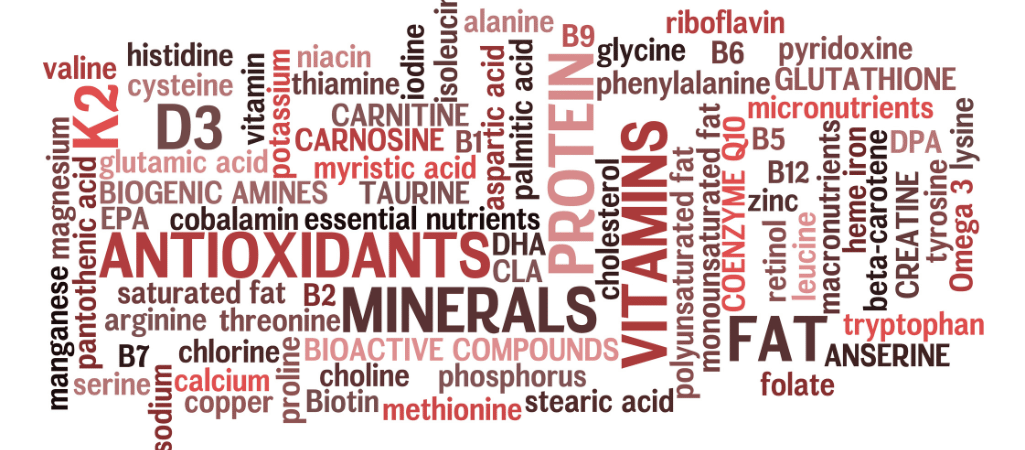 Macronutrients for Weight Loss