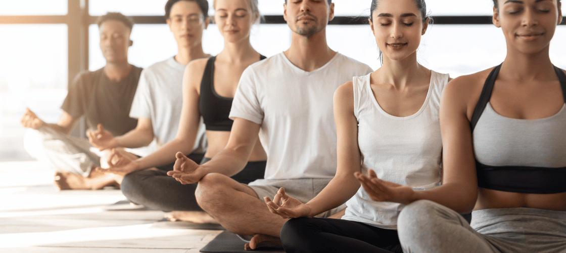 Meditate