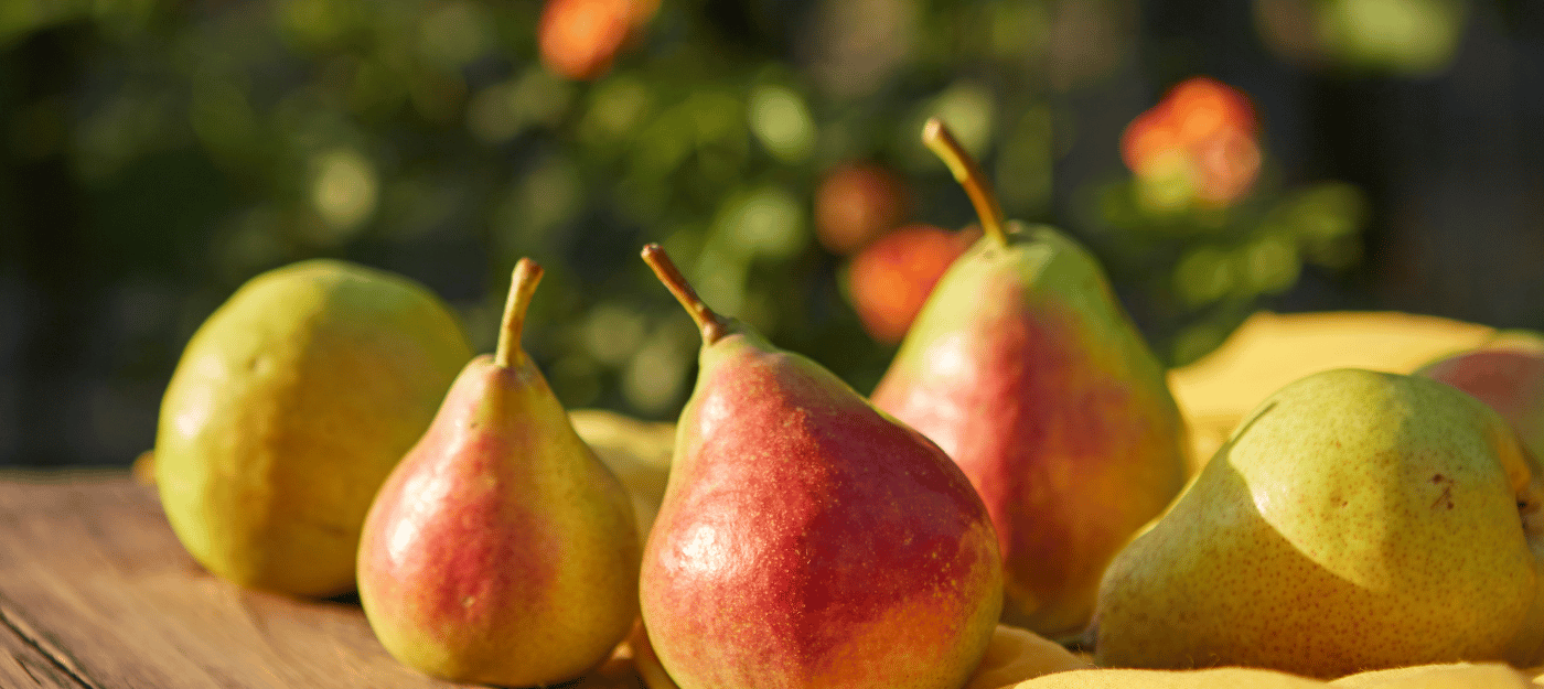 Pears