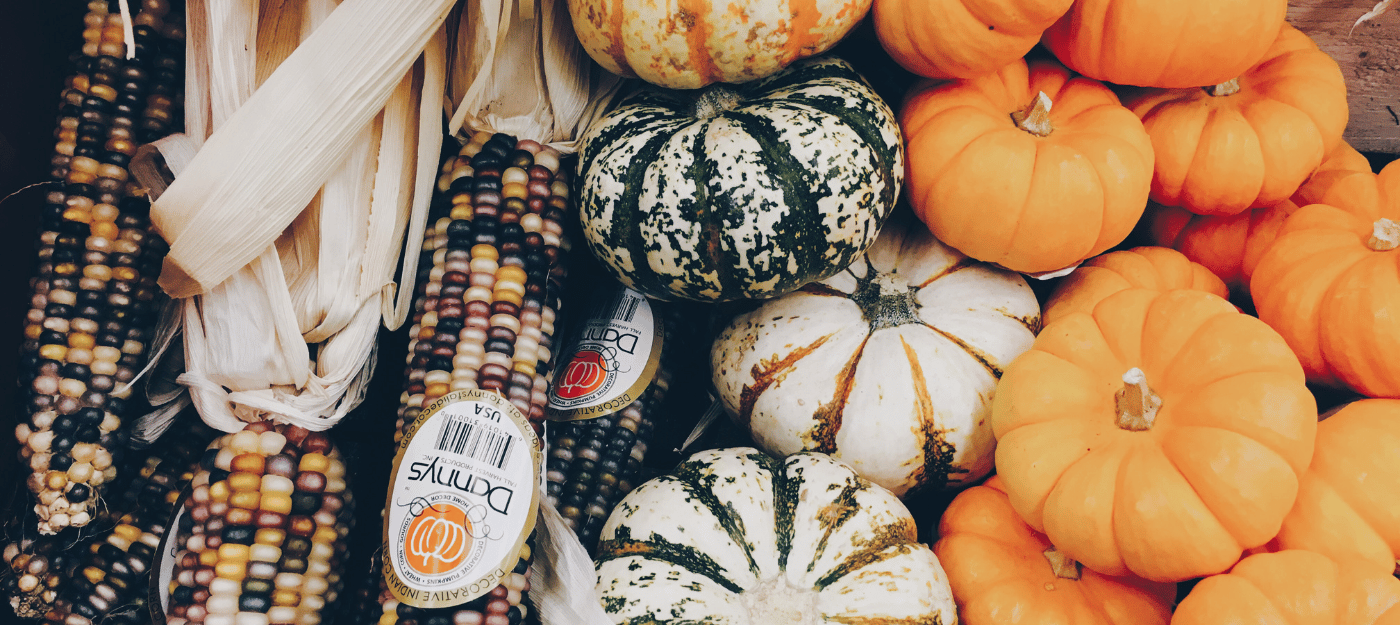 Winter Squash Fruits