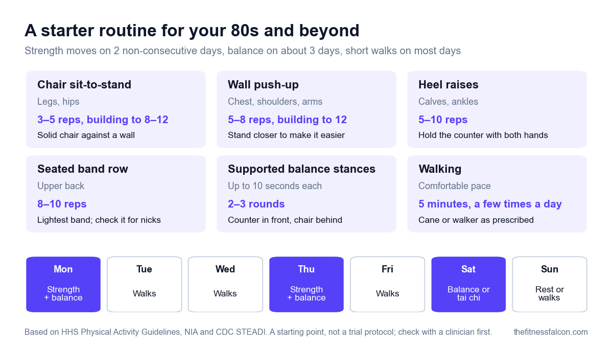 Infographic of a starter routine for adults in their 80s: chair sit-to-stand 3 to 5 reps building to 8 to 12, wall push-up 5 to 8 reps building to 12, heel raises 5 to 10 reps, seated band row 8 to 10 reps, supported balance stances held up to 10 seconds each for 2 to 3 rounds, and walking 5 minutes a few times a day, with a sample week of strength plus balance on Monday and Thursday, balance or tai chi on Saturday and walks on the other days