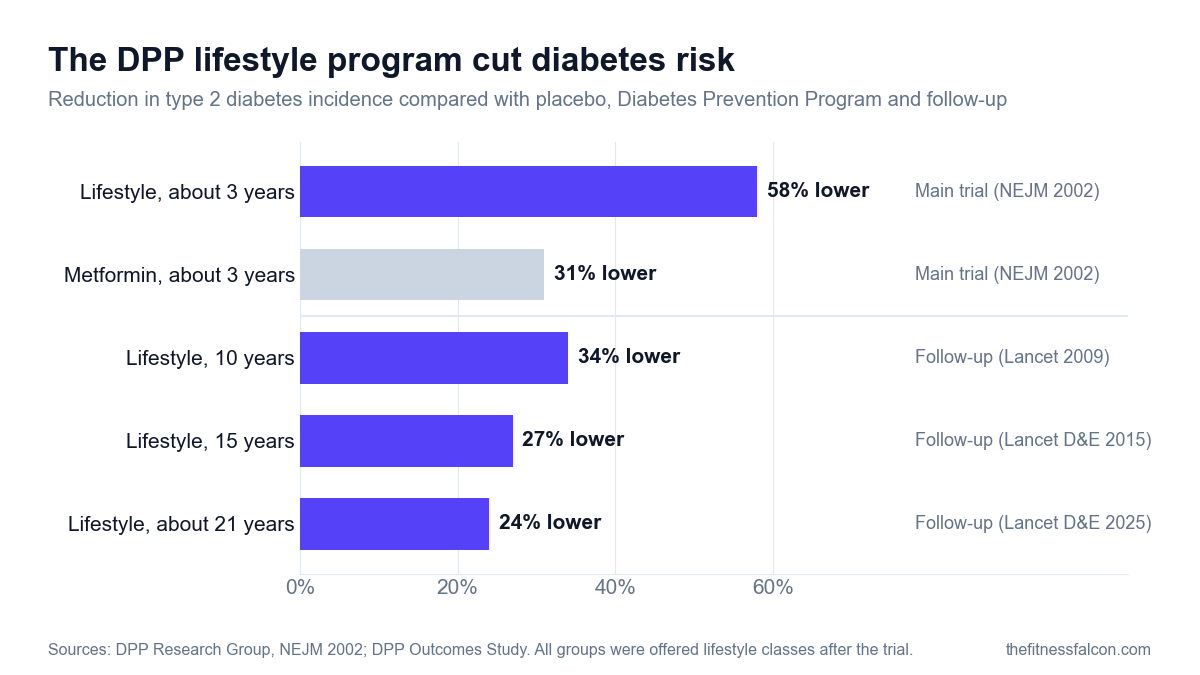 Bar chart of reductions in type 2 diabetes incidence compared with placebo in the Diabetes Prevention Program: lifestyle program 58% lower and metformin 31% lower at about 3 years, then lifestyle 34% lower at 10 years, 27% lower at 15 years and 24% lower at about 21 years