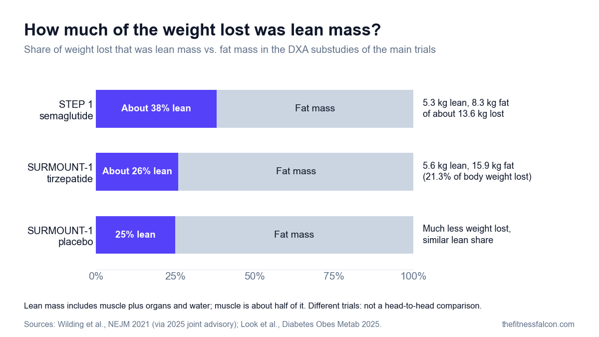 Stacked bar chart of the share of weight lost that was lean mass versus fat mass in DXA substudies: about 38% lean in STEP 1 with semaglutide (5.3 kg lean and 8.3 kg fat of about 13.6 kg lost), about 26% lean in SURMOUNT-1 with tirzepatide (5.6 kg lean and 15.9 kg fat), and 25% lean in the SURMOUNT-1 placebo group, which lost much less weight