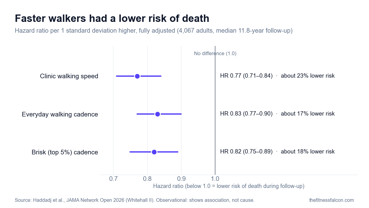Chart of hazard ratios from the 2026 JAMA Network Open study: clinic walking speed HR 0.77 (95% CI 0.71 to 0.84), everyday walking cadence HR 0.83 (0.77 to 0.90) and brisk cadence HR 0.82 (0.75 to 0.89) per 1 standard deviation higher, all below the no-difference line of 1.0