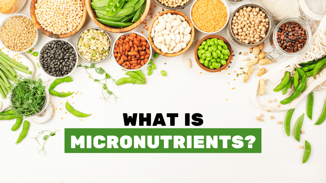 importance of micronutrients