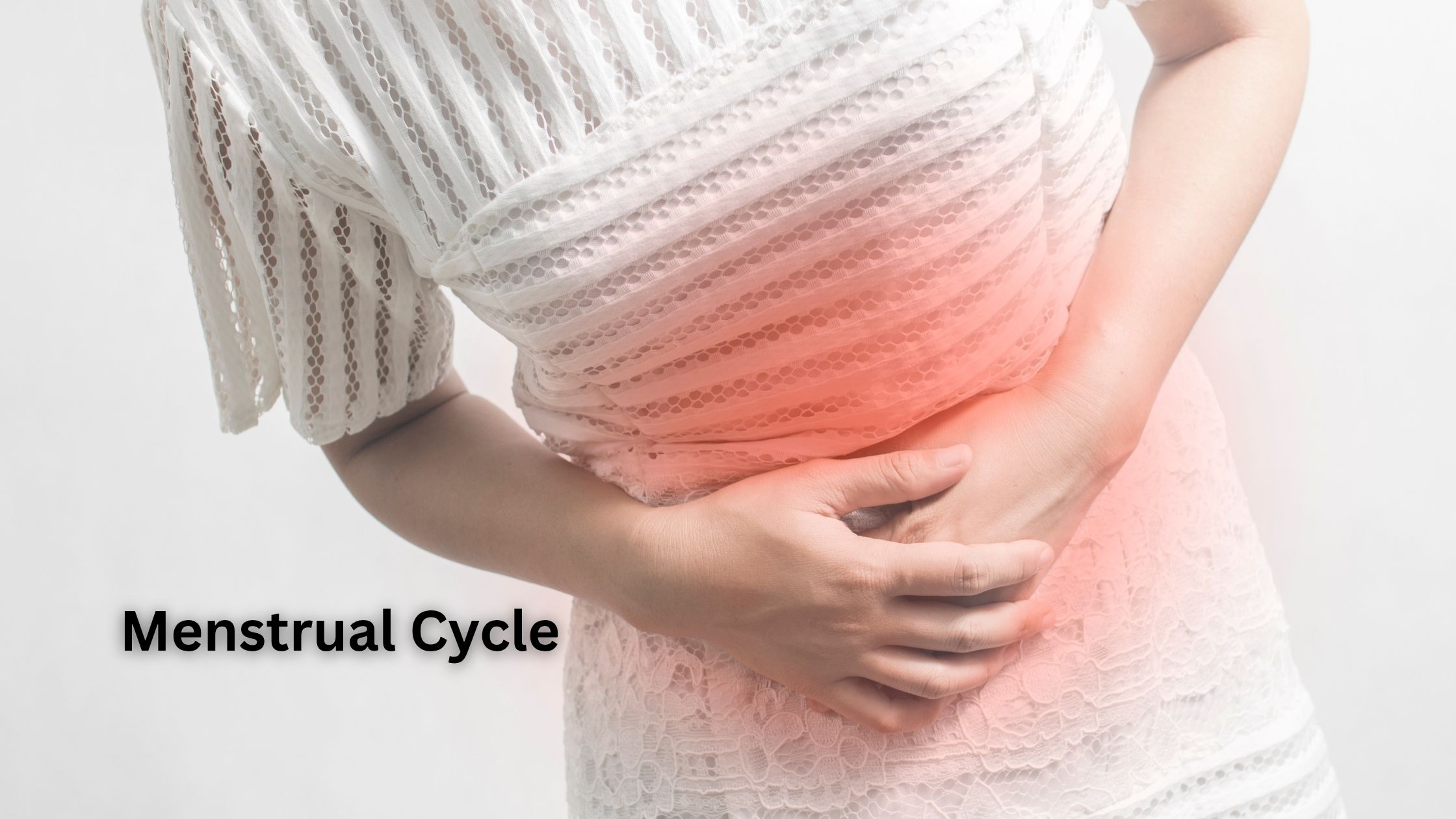Menstrual Cycle